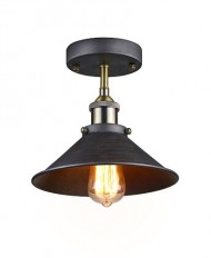 Ecopower Industrial Mini Edison Ceiling Light 1-Light