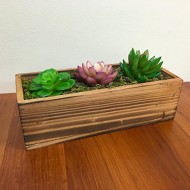 Country Rustic Wood Planter w/ 3 Faux Succulent Plants & Moss / Decorative Windowsill Plant Container Box