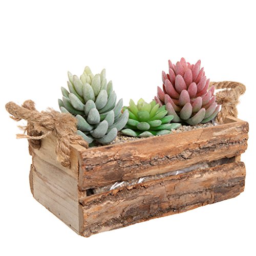 Country Rustic Natural Wood Plant Box Pot / Windowsill Flower Container / Small Decor Holder – MyGift®