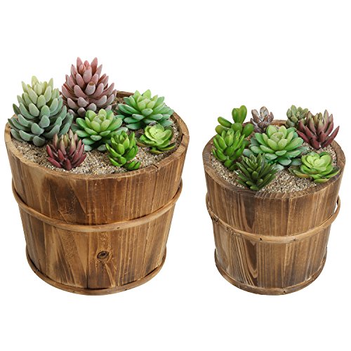 Set of 2 Country Rustic Brown Wood Succulent Pots Planters / Flower Buckets – MyGift®